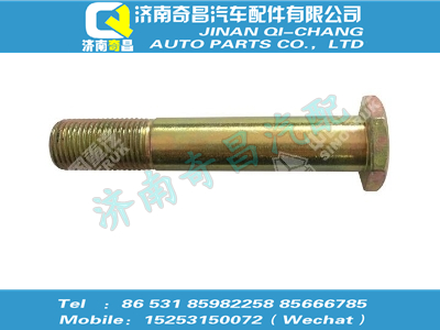 wg9100680057,王牌配件 王牌螺栓,濟(jì)南奇昌汽車配件有限公司