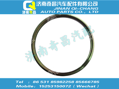 wg9231340908,王牌配件 王牌ABS齒圈,濟(jì)南奇昌汽車(chē)配件有限公司