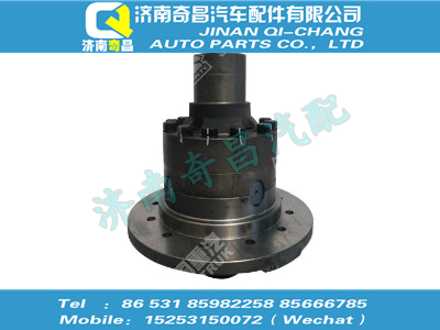 az9360320027,金王子配件 金王子差速器總成,濟(jì)南奇昌汽車配件有限公司