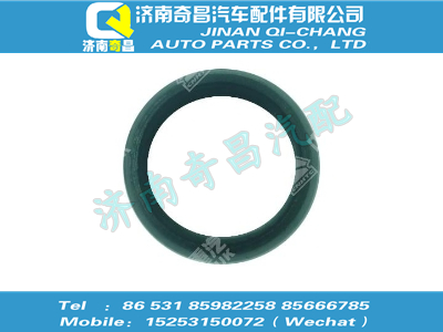 vg1246090009,王牌配件 王牌定位套,濟(jì)南奇昌汽車(chē)配件有限公司