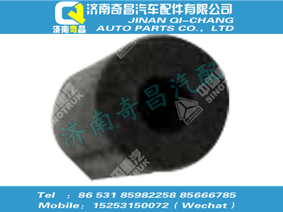 wg9715115019,金王子配件 金王子過渡膠管(3x2.5),濟南奇昌汽車配件有限公司