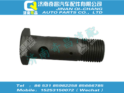 wg9003961650,C7B配件 C7B空心螺栓,濟南奇昌汽車配件有限公司