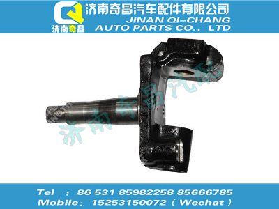eq153-3001020,金王子配件 金王子轉(zhuǎn)向節(jié)帶襯套總成(左/5.5T/諸城),濟南奇昌汽車配件有限公司