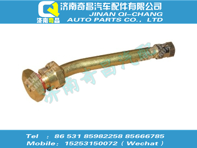 wg9725610020,黃河配件 黃河無內胎氣門嘴,濟南奇昌汽車配件有限公司