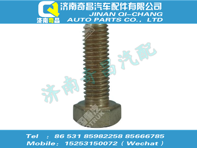 vg1246110058,汕德卡配件 汕德卡增壓器螺栓,濟(jì)南奇昌汽車(chē)配件有限公司