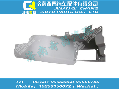 wg1632230022,T5G配件 T5G右后翼子板(少帥中長)(與左件對(duì)稱),濟(jì)南奇昌汽車配件有限公司