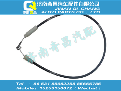 812w95501-0234,汕德卡配件 汕德卡右工具箱拉絲總成(窄體),濟南奇昌汽車配件有限公司