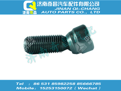 vg1246050055,王牌配件 王牌EVB調(diào)節(jié)螺釘,濟南奇昌汽車配件有限公司