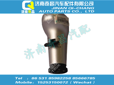 wg9700240088,王牌配件 王牌變速器換擋手柄及擋位標(biāo)牌總成（12擋）,濟(jì)南奇昌汽車(chē)配件有限公司