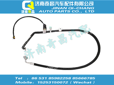 wg1684821036,王牌配件 王牌儲(chǔ)、蒸軟管總成,濟(jì)南奇昌汽車(chē)配件有限公司