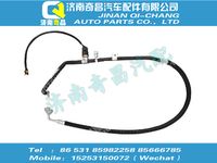 wg1684821036,王牌配件 王牌儲(chǔ)、蒸軟管總成,濟(jì)南奇昌汽車(chē)配件有限公司