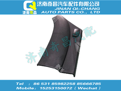 wg1641230052,金王子配件 金王子右前翼子板后段總成,濟南奇昌汽車配件有限公司