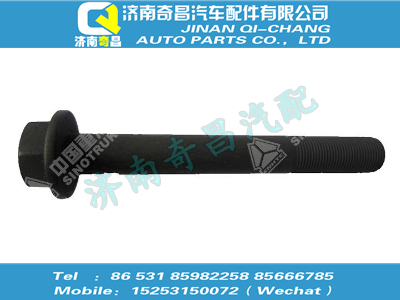 wg9725525114,T5G配件 T5G六角法蘭螺栓（M20x1.5x160，10.9級，瀚瑞森）,濟南奇昌汽車配件有限公司