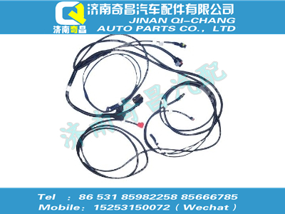 wg1034122251,C7B配件 C7BSCR線束（不帶電加熱）,濟南奇昌汽車配件有限公司