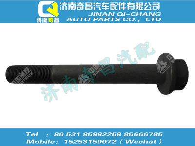 wg9725525128,王牌配件 王牌六角法蘭螺栓（M20x1.5x75，10.9級，瀚瑞森）,濟南奇昌汽車配件有限公司