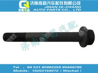 wg9725525128,王牌配件 王牌六角法蘭螺栓（M20x1.5x75，10.9級，瀚瑞森）,濟南奇昌汽車配件有限公司