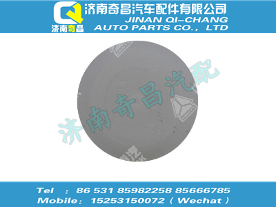 202v54100-1123,金王子配件 金王子燃油回油管堵蓋,濟南奇昌汽車配件有限公司