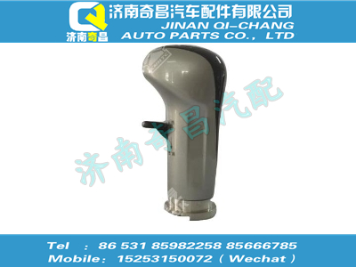 wg9700240089,SITRAK配件變速器換擋手柄及擋位標(biāo)牌總成（16擋/右置）,濟(jì)南奇昌汽車配件有限公司