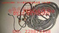 AZ9725778061,8×4載貨車底盤電線束（STR雙橋）,濟南海納汽配有限公司