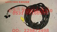 AZ9725776030,車架電線束630,濟南海納汽配有限公司