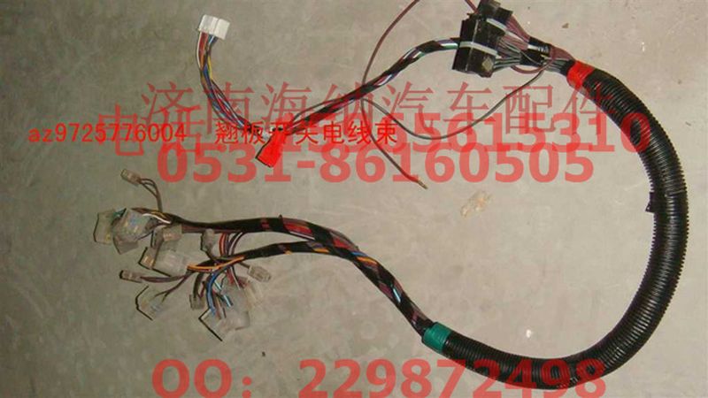 AZ9725776004,翹板開關(guān)電線束,濟(jì)南海納汽配有限公司