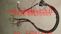 AZ9725776004,翹板開關(guān)電線束,濟(jì)南海納汽配有限公司