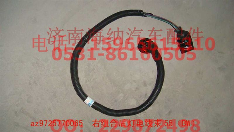 AZ9725770065,右組合后燈電線束50（BW）,濟南海納汽配有限公司