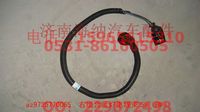AZ9725770065,右組合后燈電線束50（BW）,濟南海納汽配有限公司