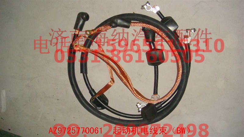 AZ9725770061,起動機電線束（BW）,濟南海納汽配有限公司
