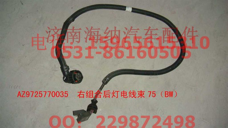 AZ9725770035,右組合后燈電線束75（BW）,濟(jì)南海納汽配有限公司