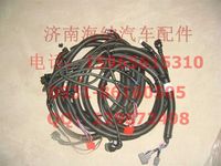 AZ9716772006,EGR發(fā)動機(jī)電線束(09款),濟(jì)南海納汽配有限公司