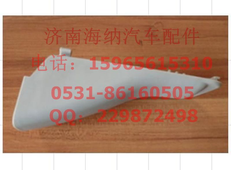 810W62305-0054,上車(chē)扶手護(hù)框,濟(jì)南海納汽配有限公司