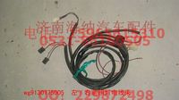 WG9130775005,左右前照燈線束,濟(jì)南海納汽配有限公司