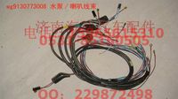 WG9130773008,水泵、喇叭線束,濟(jì)南海納汽配有限公司