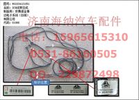 WG1034121051,SCR線(xiàn)束總成（不帶電加熱）,濟(jì)南海納汽配有限公司