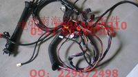 AZ9925770203,左車門(mén)電線束,濟(jì)南海納汽配有限公司