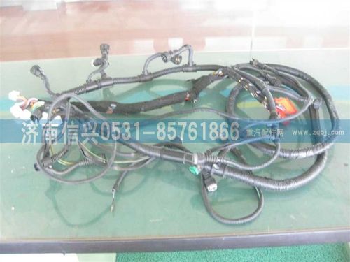 VG1093090009,線束總成(STR兩氣門),濟南信興汽車配件貿(mào)易有限公司