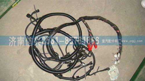 VG1096090009,HW09款兩氣門共軌發(fā)動機線束總成（此線接油水分離器）,濟南信興汽車配件貿(mào)易有限公司