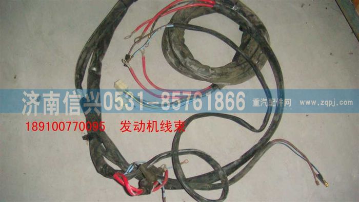 189100770095,發(fā)動機(jī)線束 ,濟(jì)南信興汽車配件貿(mào)易有限公司