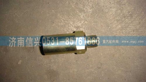 VG1242088005,溢油閥總成,濟(jì)南信興汽車配件貿(mào)易有限公司
