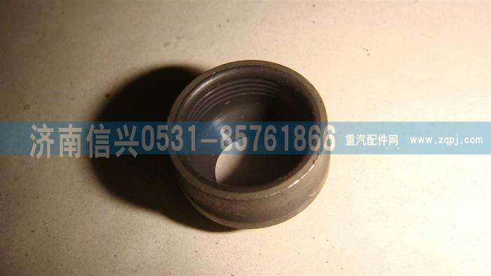 VG1540040026,氣門閥桿密封套（雙唇口）CNG,濟南信興汽車配件貿(mào)易有限公司