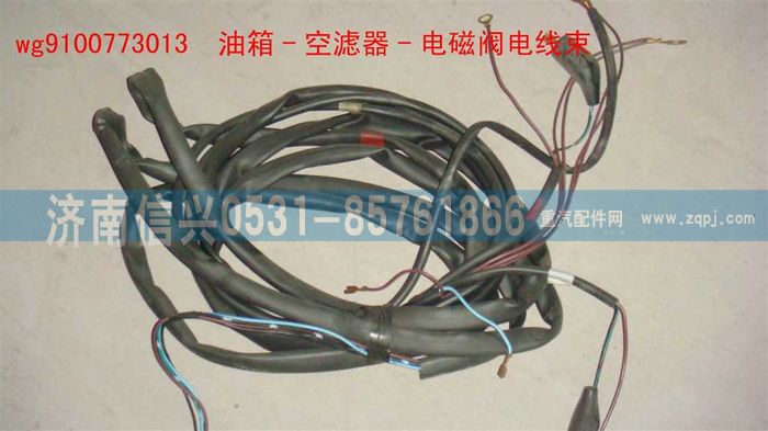 WG9100773013,油箱空濾線束,濟南信興汽車配件貿(mào)易有限公司