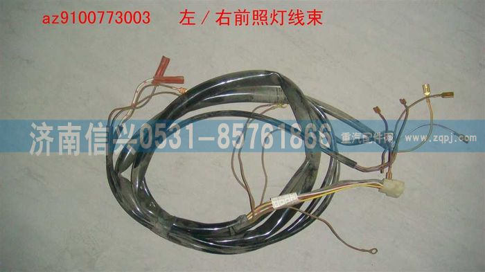 AZ9100773003,左-右前照燈線,濟(jì)南信興汽車配件貿(mào)易有限公司
