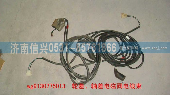 WG9130775013,WG9130775013輪差電磁閥線束,濟南信興汽車配件貿(mào)易有限公司