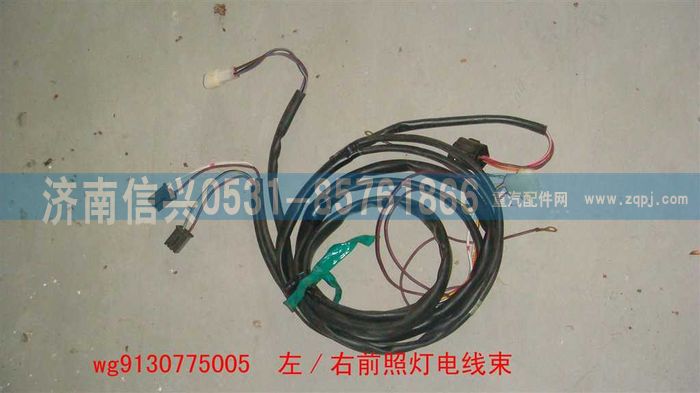 WG9130775005,WG9130775005左、右前照燈線束,濟(jì)南信興汽車(chē)配件貿(mào)易有限公司