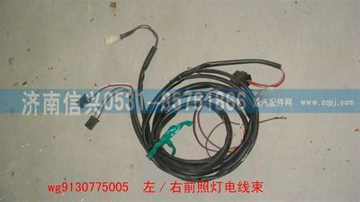 WG9130775005,WG9130775005左、右前照燈線束,濟(jì)南信興汽車(chē)配件貿(mào)易有限公司