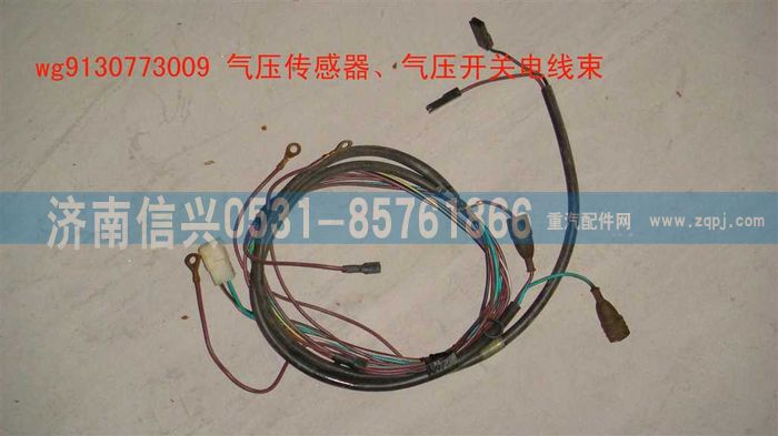 WG9130773009,WG9130773009傳感器、開關(guān)線束,濟(jì)南信興汽車配件貿(mào)易有限公司