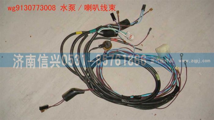 WG9130773008,WG9130773008水泵、喇叭線束,濟(jì)南信興汽車配件貿(mào)易有限公司