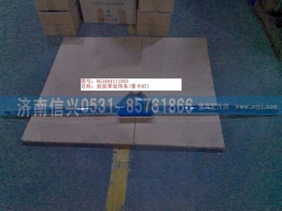 WG1684111003    ,WG1684111003前面罩裝飾條(豪卡H7),濟(jì)南信興汽車配件貿(mào)易有限公司