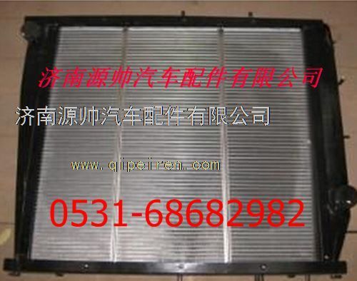 DZ95259532202,陜汽德龍F(tuán)3000散熱器 陜汽德龍F(tuán)3000水箱,濟(jì)南源帥汽車(chē)配件有限公司